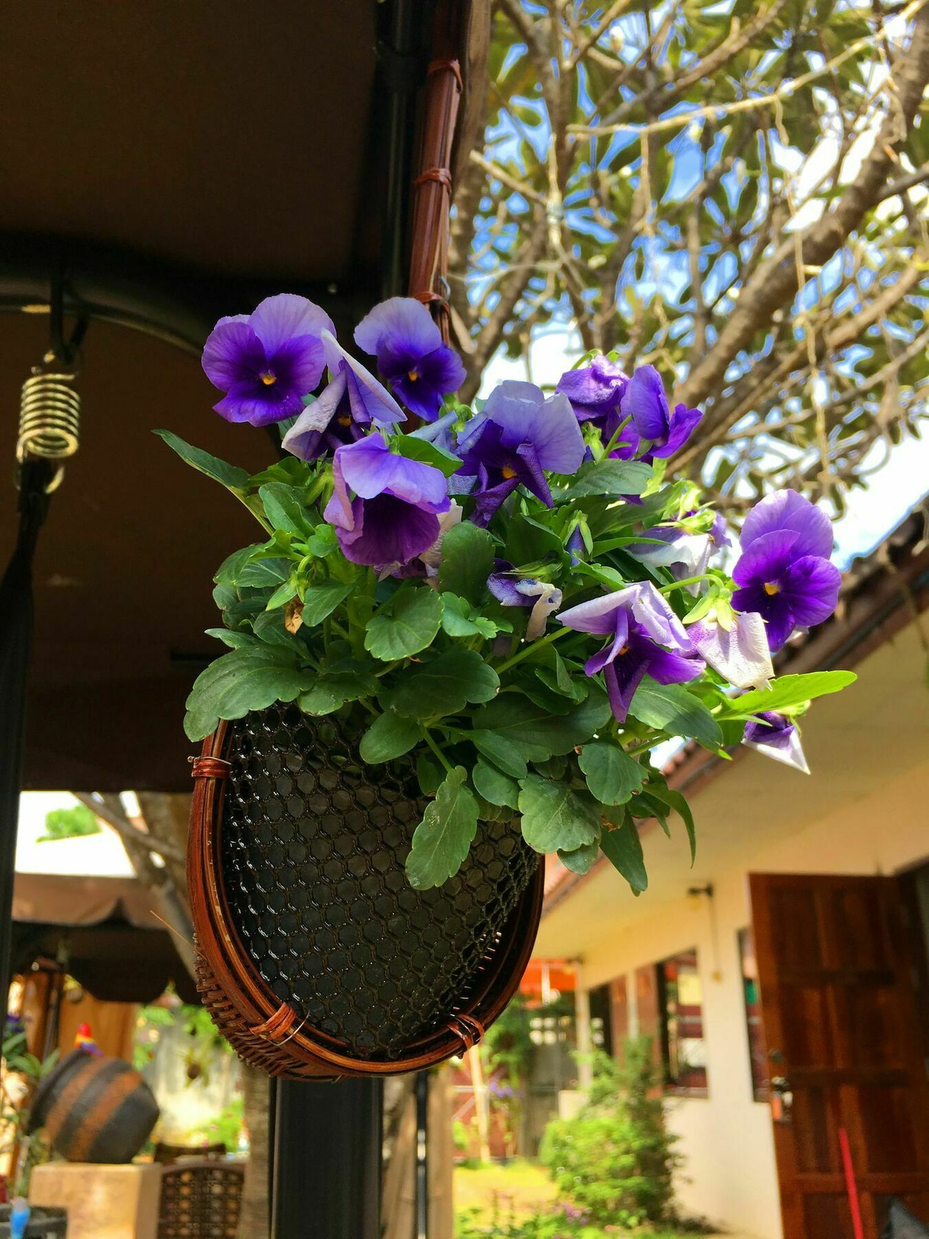 Hotel Cshouse Chiang Mai Exterior foto